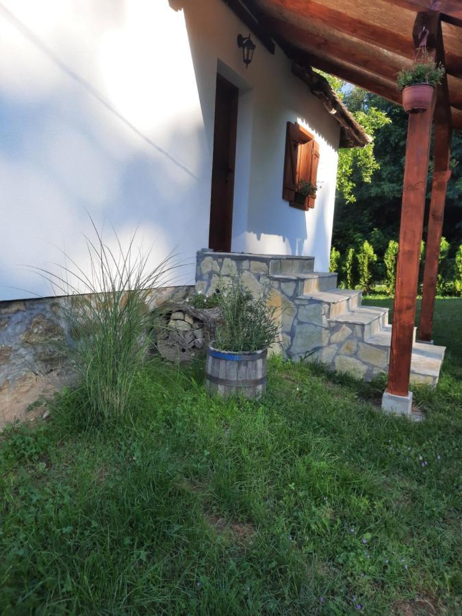 Rudnicki Eko Breg Villa รุดนิค ภายนอก รูปภาพ